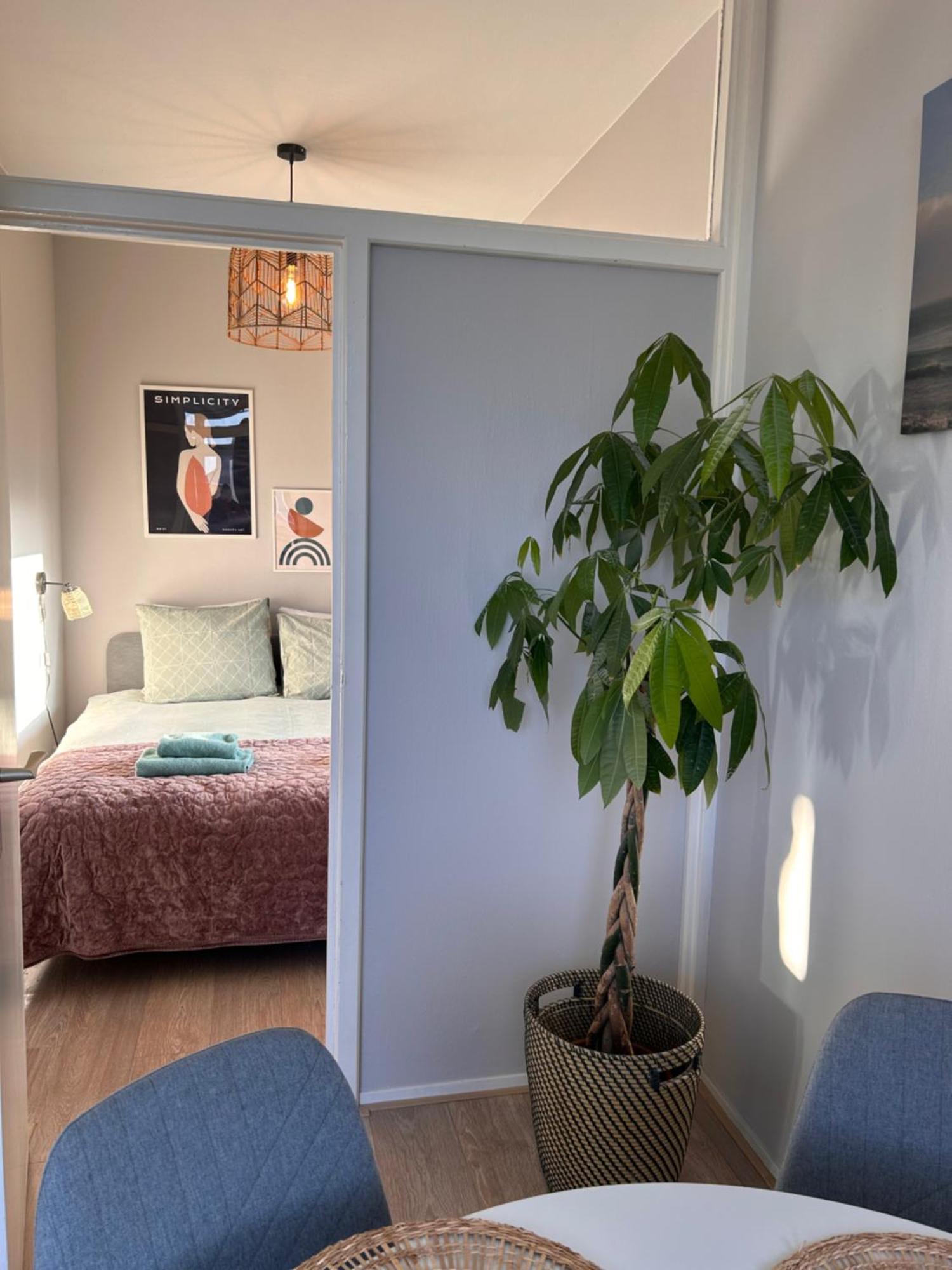 Amsterdam Beach Apartment 17, Incl Parking + Garden زاندفورت المظهر الخارجي الصورة
